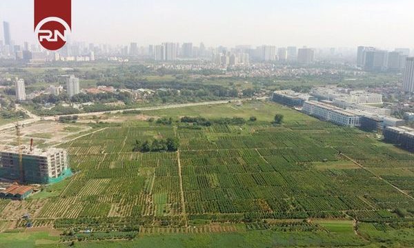 Quy hoạch đất là gì? Các loại quy hoạch đất ở Việt Nam