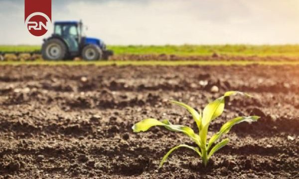 Có nên đầu tư mua đất nông nghiệp hay không?