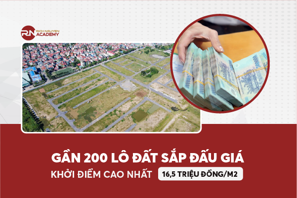 Gần 200 lô đất ở Bình Định và Nghệ An sắp diễn ra đấu giá