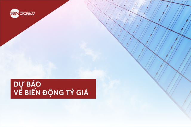 Dự báo về biến động tỷ giá?