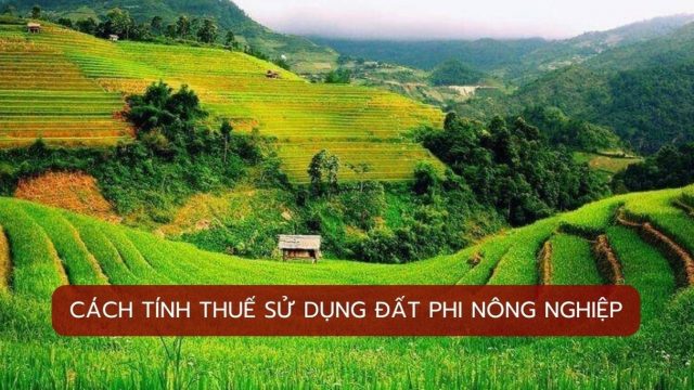 Cách tính thuế sử dụng đất phi nông nghiệp hiện nay