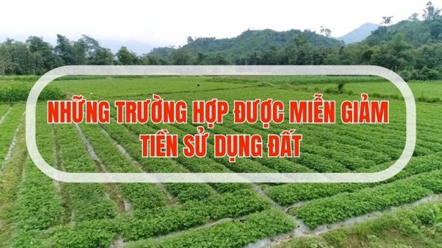 Nhiều trường hợp sẽ được miễn, giảm tiền sử dụng đất từ ngày 1/8/2024