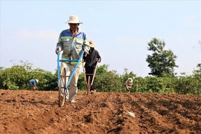 Quy định nguyên tắc, điều kiện tách hoặc hợp thửa đất