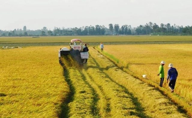 Chuyển nhượng đất nông nghiệp bằng giấy viết tay có hợp pháp không?