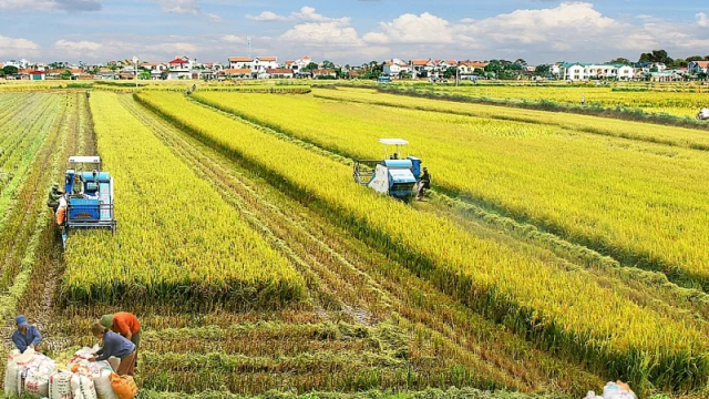 Bộ Tài chính đề xuất miễn tiền thuê đất cho dự án đầu tư nông nghiệp tới 15 năm