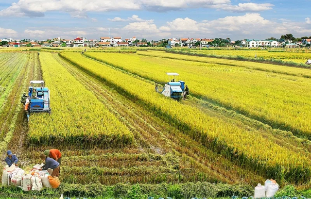 Bộ Tài chính đề xuất miễn tiền thuê đất cho dự án đầu tư nông nghiệp