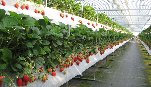 Những loại công trình được phép xây dựng trên đất nông nghiệp
