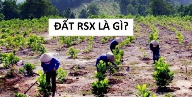 Đất RSX là loại đất gì?