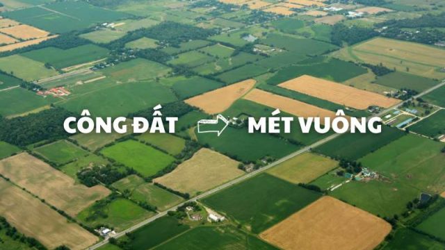 Giải đáp 1 công đất bao nhiêu m2 và hướng dẫn quy đổi cực đơn giản