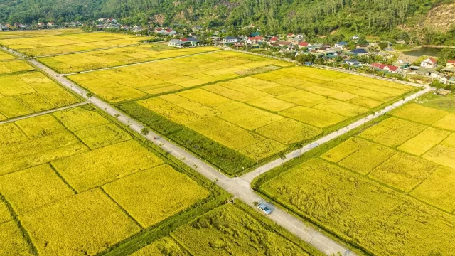 Công đất là gì?