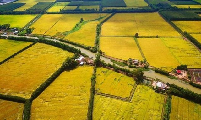 Viện Kinh tế Tài nguyên và Môi trường TP.HCM kiến nghị tăng giá đất nông nghiệp lên bằng 65%–70% giá đất ở