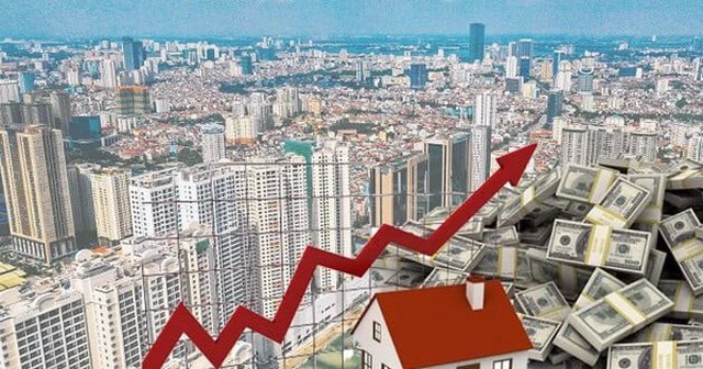 Dòng tiền tập trung vào phân khúc phục vụ nhu cầu ở thực