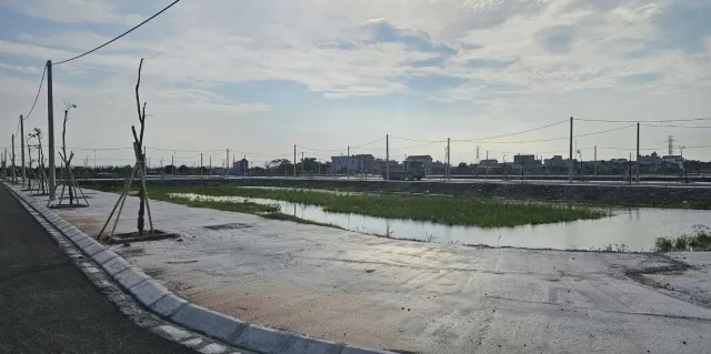 Vì sao đấu giá đất vùng quê hạ nhiệt?